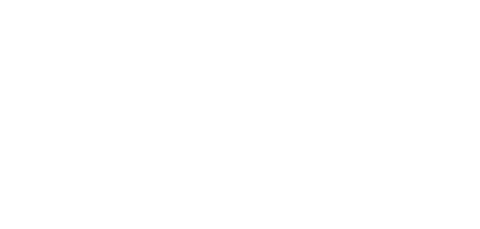 The Arts Council